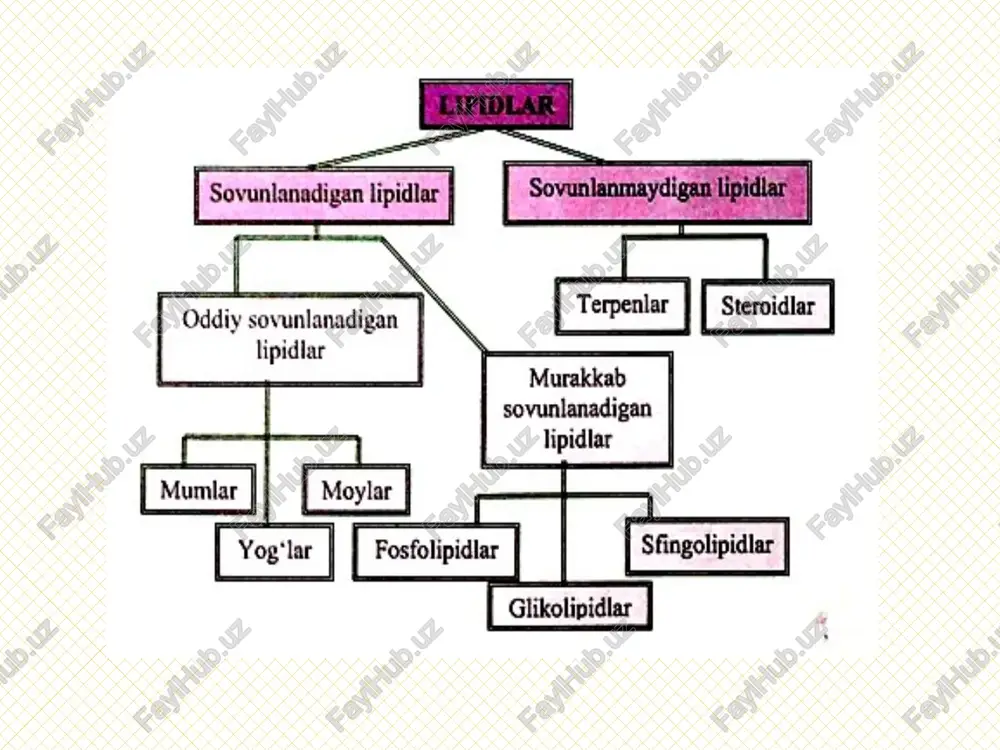 ksiyalarini boshqarishda ishtirok etadi. ular qatorida buyrak usti qobig'ida hosil bo'ladigan kortikosteroidlarning umumiy soni 40 ga yaqin bo‘lib, bu moddalar uglevod va tuz almashinuvini boshgaradi. kor- tikosteron insulinning antagonistidir, u qondagi glukoza miqdorini oshiradi. prednizolon sintetik kortikosteroid, u revmatizm, bronxial astma, teri shamollash holatla davolashda ishlatiladi. androstan qatorini tashkil qiluvchi uglevodorodlar qatoriga an- drogenlar ~ erkak jinsiy gormonlari kiradi, erkaklarda ikkilamchi jinsiy belgilari shakllanishini va sperma ishlab chigarishni boshqa- radi, ularning eng muhim namoyondalari androsteron va testoster- onlardir. /docprops/thumbnail.jpeg