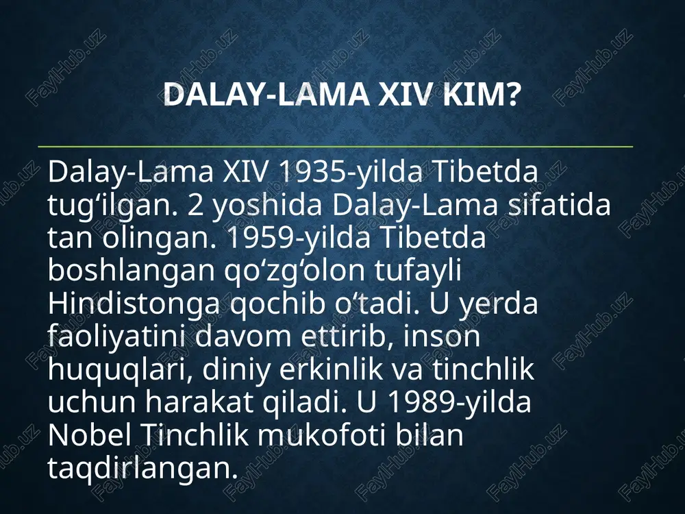 dalay-lama xiv - Page 4