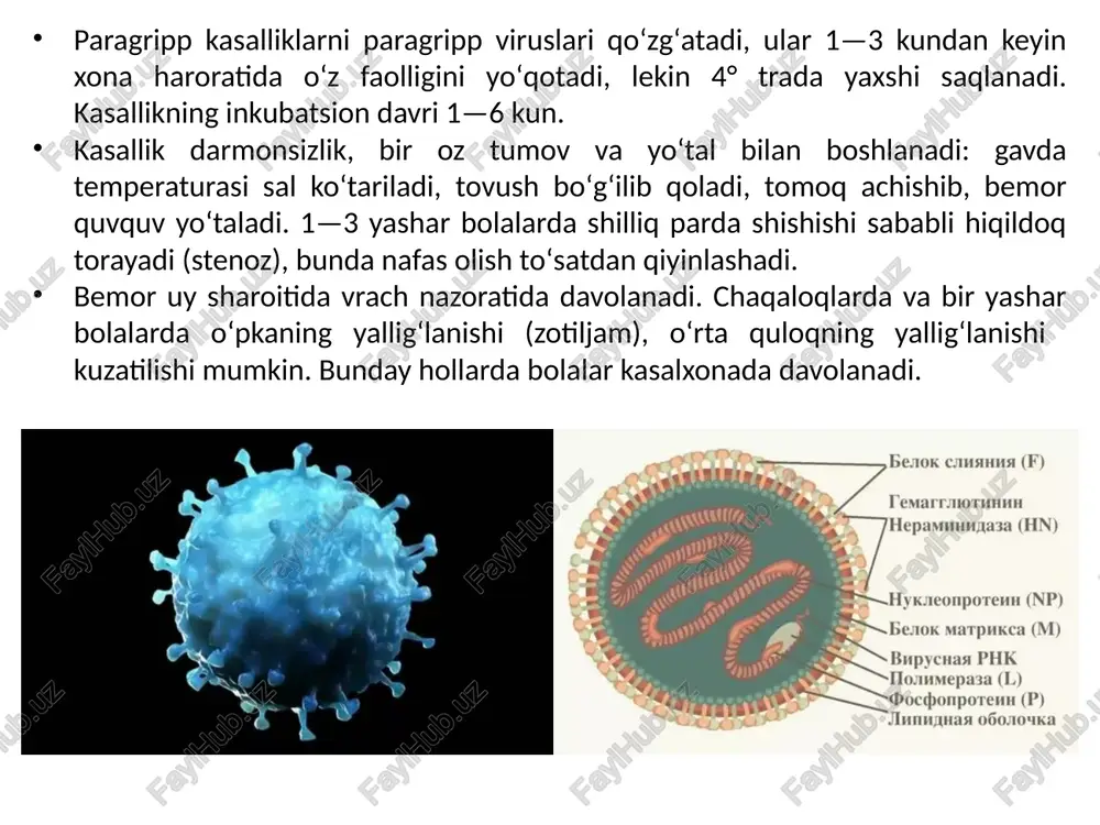 lari yo'q (klinik ma'lumotlarning etishmasligi yoki o'pka arteriyasining siqilish bosimi[ingl.] 18 mm hg dan yuqori emas. ) progressiv gipoksemiya (spo2[ingl.[90% dan past), bu ko'pincha kislorod inhalatsiyasiga chidamli . arterial qon gazlarini o'rganishda sindromning ning dastlabki bosqichlarida past pao2, va ph (alkaloz) oshishi aniqlanadi. keyinchalik raso2 ko'payadi va alkaloz atsidoz. o'pka rentgenografiyasida ikki tomonlama diffuz infiltratlar, ba'zida plevral efüzyon ko'rinadi. bunday belgilar o'ziga xos emas va kardiogen o'pka shishi uchun ham xosdir, bu esa differentsial tashxisni. kompyuter tomografiyasi o'pkaning ma'lum bo'limlarda (yotgan bemorlarda posterior bo'limlarda) bir hil bo'lmagan infiltratsiyasini ko'rsatadi. bu o'pka shishining tortishish kuchiga bog'liq taqsimlanishi va o'pkaning haddan tashqari shishgan qismlarining siqilishi bilan bog'liq. bronxoalveolyar yuvish ards diagnostikasining eng ishonchli usuli hisoblanadi. bunday holda, o'pkaning ta'sirlangan segmentlaridan biriga moslashuvchan fibrobronxoskop kiritiladi. keyin o'pka segmenti izotonik eritma bilan yuviladi va yuvish suyuqligi tarkibi tahlil qilinadi. ards bilan og'rigan bemorlarda neytrofillar aniqlanadi, ular barcha yuvish suyuqligi hujayralarining 60-80 foizini tashkil qiladi …