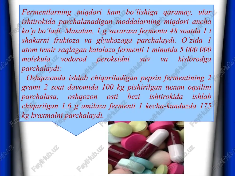 bakteriyalarda fermentativ jarayonlar - Page 4