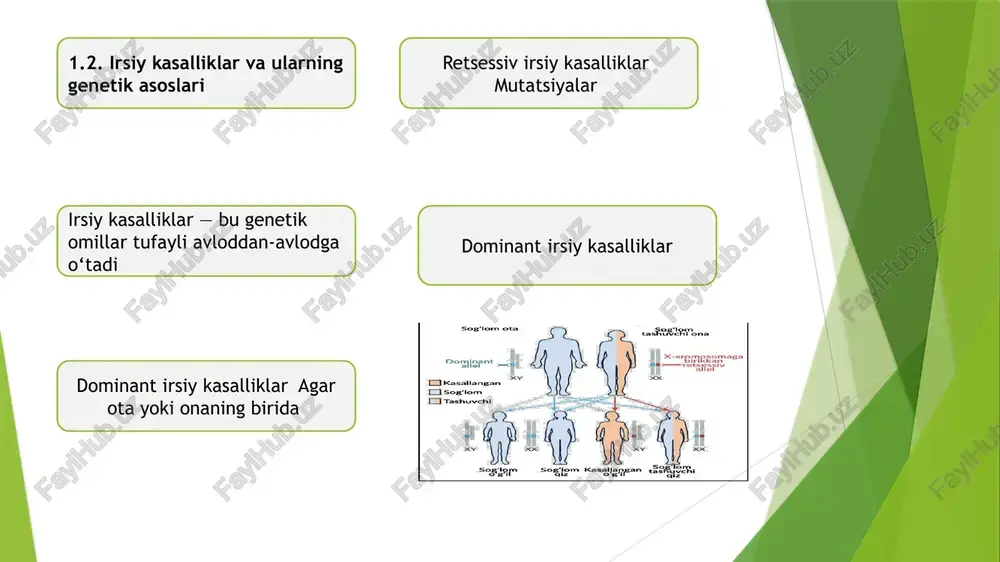 nostika tibbiyotning yangi yo‘nalishi sifatida nafaqat ilmiy, balki amaliy jihatdan ham katta ahamiyatga ega bo‘lib, kelajakka bo‘lgan umidlarni kuchaytirmoqda. xulosa qilib aytganda, genomika fanining rivojlanishi irsiy kasalliklarni aniqlash, davolash va oldini olishda yangi ufqlarni ochdi. bu esa inson salomatligini yaxshilash, sog‘lom avlodni tarbiyalash va tibbiyot sohasida innovatsion yondashuvlarni tatbiq etishda muhim ahamiyat kasb etadi. kelajakda genomika sohasidagi tadqiqotlar yanada chuqurlashib, irsiy kasalliklarni butunlay bartaraf etish imkoniyatlarini kengaytiradi. foydalanilgan adabiyotlar 1.o‘zbekiston respublikasi “ta’lim to ‘g‘risidagi qonun”i 2020. 2.abduqodirov a. genetika va genomika asoslari. toshkent: o‘qituvchi, 2020. 3.akhmedov m. irsiy kasalliklar va ularning davolash usullari. samarqand: shifo, 2021. 4.alimov t. genomika asosidagi davolash usullari. toshkent: xalq nashri, 2020. 5.azizov a. tibbiyotda genomikaning roli. toshkent: ilmiy-nashriyot, 2019. 6.bekmurodov u. genetik tahlillar va diagnostika. tashkent: tibbiyot nashriyoti, 2020. 7.davlatov s. genetika va irsiy kasalliklar. buxoro: ilm va ma’rifat, 2018. 8.evazov z. genomik tibbiyot va uning amaliy ahamiyati. toshkent: tibbiyot nashriyoti, 2022. 9.g‘ofurov x. genetik …