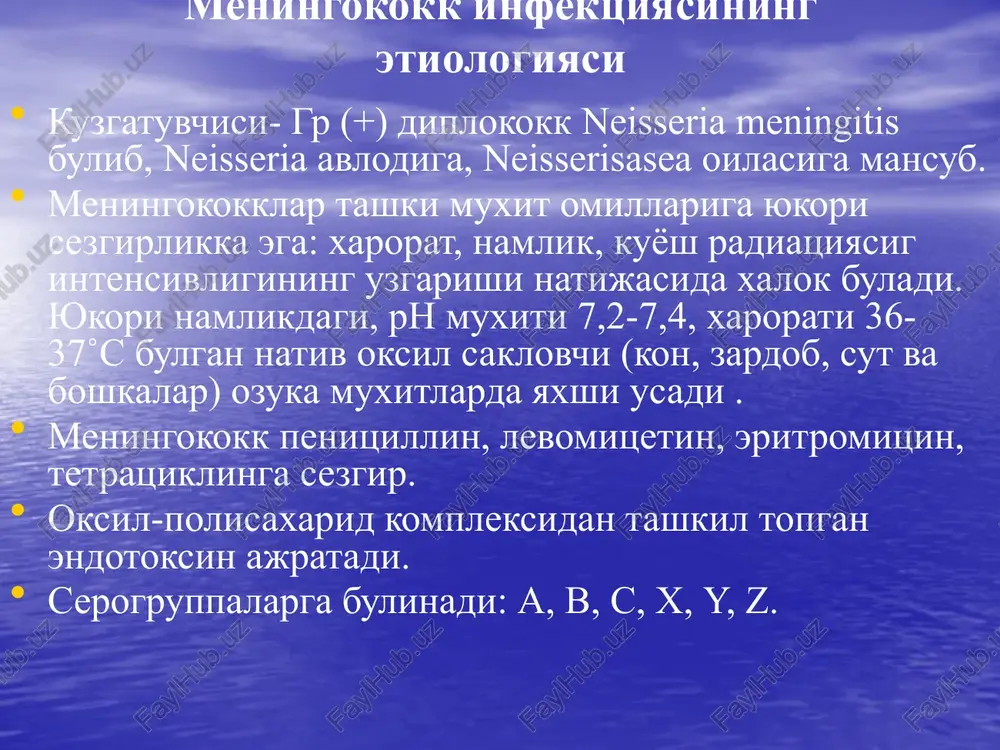 va boshkalar. meningokokkli nazofaringit barcha mi bilan kasallanganlarning 80%ida uchraydi. engil, urta ogir, va ogir shakllari ajratiladi. kasallik utkir tana xaroratining 37,5˚s dan 39-40˚s gacha kutarilishi, bosh ogrigi, bosh aylanishi, kataral belgilar bilan boshlanadi. xalkum orka devorini giperemiyasi va shishi kuzatiladi: limfoid follikullarning giperplaziyasi, yon bolishlarning shishi, kam mikdorda shillik ajralishi. ogir shakllarida tana xarorati 39-40,5˚s gacha kutariladi, xarakterli simptomlardan tashkari kayt kilish, ba'zan talvasalar, korinda ogrik kushiladi. kuruvda aloxida meningeal simptomlar aniklanadi. periferik konda leykotsitoz 15*10*9/l gacha, neytrofillez, soe 20-30 mm/s gacha buladi. oms uzgarishsiz. meningokokkemiya ( meningokokkli bakteremiya, meningokokkli sepsis) kasallik tusatdan boshlanadi. bemorlar kasallikning anik vaktini aytadilar. tana xarorati 39-40°s gacha kutariladi, kaltirash, kayt kilish, bolalarda kupincha talvasalar, xushning buzilishi kuzatiladi. barcha klinik simptomlar 1-2 kun davomida kuchayib boradi. 1-kunning oxirida xarakterli notugri shakldagi va ushlab kurilganda kattik konsistentsiyali gemorragik yulduzchasimon toshma paydo buladi. toshma bir vaktda butun tana buylab toshib, kul-oyoklarda, dumbada kuprok joylashadi. meningokokkemiya ( …