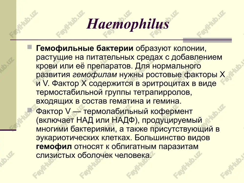 icheskuyu opasnost predstavlyaet palochka inflyuentsi tipa b. nekapsulirovannie shtammi neodnorodni po naboru antigenov; odin iz nix, antigen m, imeet belkovuyu prirodu i prisutstvuet u vsex shtammov. at k kapsulnim antigenam okazivayut zashitnoe deystvie, a ix nedostatok uvelichivaet risk razvitiya meningita, osobenno u detey v vozraste 3-24 mes (dlya nix xarakteren defitsit at), a takje u bolee starshix detey i podrostkov posle splenektomii. faktori patogennosti haemophilus influenzae osnovnie faktori patogennosti palochki inflyuentsi — kapsula i pili, zatrudnyayushie pogloshenie bakteriy fagotsitami i oblegchayushie adgeziyu k slizistoy obolochke verxnix otdelov dixatelnix putey. pozdnee bakterii inflyuentsi pronikayut v podslizistuyu obolochku, vizivaya vospalitelnuyu reaktsiyu. shtammi inflyuentsi, obladayushie visokoy virulentnostyu, mogut migrirovat v limfo- i krovotok. patogennost proyavlyaetsya pri razrushenii bakter.kletki, kogda videlyaetsya termostabilniy endotoksin.ekzotoksin ne produtsiruyut. ustoychivost vozbuditelya haemophilus influenzae vozbuditel maloustoychiv vo vneshney srede. pogibaet pod deystviem solnechnix luchey, uf, dezinfitsiruyushix sredstv. pri 60 s pogibaet cherez 5-10 minut. immunitet deti pervix 3 mes.jizni …