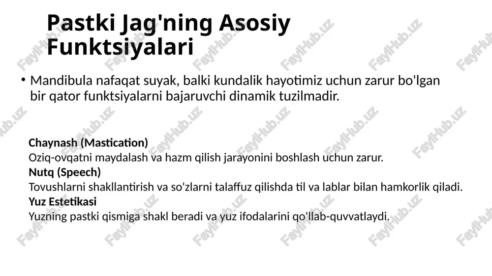 pastkijag'anatomiyasivafunktsiyasi - Page 4