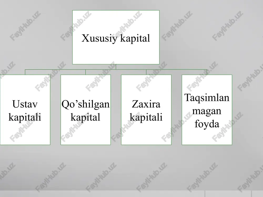 xususiy kapital to’g’risidagi hisobotauditi - Page 4