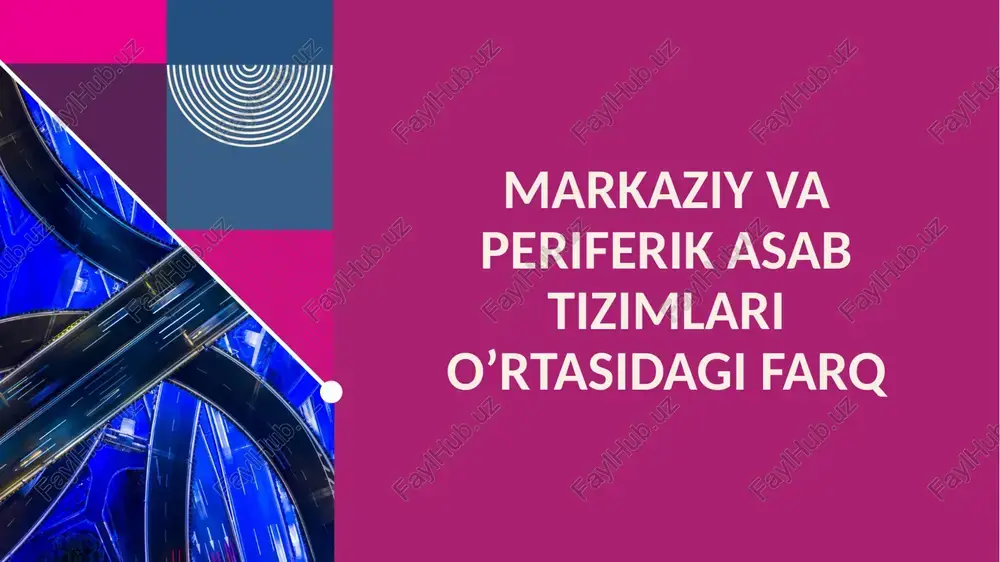 uvofiqlashtiradi, serebrum esa po’stloq orqali yuqori funksiyalarni. 8 8 9 refleks va reflektor faoliyat tamoyillari refleks – avtomatik javob, masalan, patellar refleks (tizza refleksi). tamoyillari: sensor reseptor – afferent yo’l – markaz (orqa miya) – efferent yo’l – effector (mushak). monosinaptik (soddiy) va polisinaptik (murakkab) turlari mavjud. reflektor faoliyat: sherrington tamoyillari – retsiprokal inhibisiya (agonistik mushak faollashganda antagonist inhibe qilinadi). plastisiya orqali reflekslar o’zgaradi. chuqur tahlilda, reflekslar hayotni saqlaydi: masalan, yutqazish refleksi. dalil: babinski refleksi chaqaloqlarda normal, kattalarda patologiya. amaliy misol: issiq choyga tegishda tortib olish refleksi. periferik asab tizimi (pat) periferik asab tizimi (pat) matdan tashqaridagi nervlarni o’z ichiga oladi, signal uzatish va sensor yig’ish vazifasini bajaradi. pat somatik va vegetativ bo’limlarga bo’linadi. funksiyalari: tanani mat bilan bog’lash, avtonom jarayonlarni boshqarish. 10 10 asab impulsining organ va to’qimalarga ta’siri asab impuls organlarga efferent yo’llar orqali ta’sir qiladi: mushak qisqarishi, bezlar sekretsiyasi. simpatikda adrenalin chiqarilishi, parasimpatikda ovqat hazmi. chuqur tahlilda, …