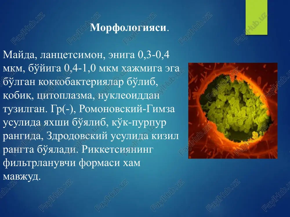 ku isitmasi - Page 4
