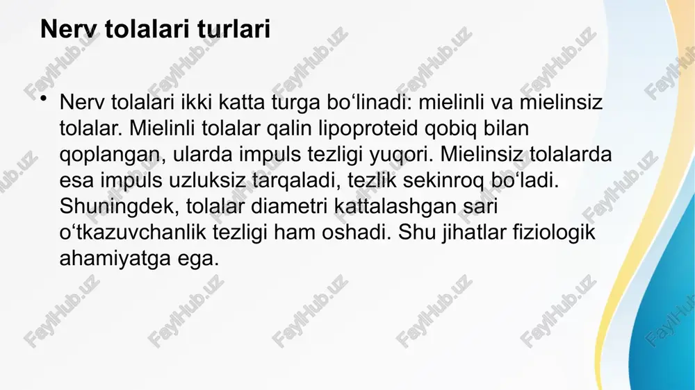 ch qismdan iborat: presinaptik membrana, sinaptik bo‘shliq va postsinaptik membrana. presinaptik qismda mediator saqlovchi pufakchalar joylashadi. impuls kelganda bu mediatorlar bo‘shliqqa chiqadi. postsinaptik membranada maxsus retseptorlar mavjud bo‘lib, mediatorni qabul qilib, yangi impuls hosil qiladi. mediatorlar va ularning vazifasi sinapslarda turli mediatorlar qo‘llaniladi: asetilxolin, noradrenalin, dopamin, serotonin, gaba va boshqalar. har bir mediatorning ta’siri o‘ziga xos. masalan, asetilxolin ko‘pincha qo‘zg‘atuvchi, gaba esa tormozlovchi vazifani bajaradi. mediatorlar sinaptik jarayonning tezligi va samaradorligini belgilaydi. ularning buzilishi ko‘plab kasalliklarga sabab bo‘ladi. sinaptik uzatish bosqichlari kimyoviy sinapslarda uzatish jarayoni bir necha bosqichdan iborat: impuls presinaptik qismga keladi; kalsiy ionlari kirib, mediator pufakchalari bo‘shliqqa chiqadi; mediator postsinaptik retseptorlarga ulanadi; ion kanallari ochilib, yangi qo‘zg‘alish paydo bo‘ladi. shu tarzda nerv tizimida bir yo‘nalishda axborot oqimi ta’minlanadi. sinaptik kechikish sinapsda impuls uzatilishi 0,3–0,5 millisekund kechikish bilan amalga oshadi. bu vaqt mediator ajralishi va postsinaptik retseptorlar bilan bog‘lanishiga sarflanadi. shu sababli sinapslar refleks vaqtini belgilovchi muhim omillardan biridir. …