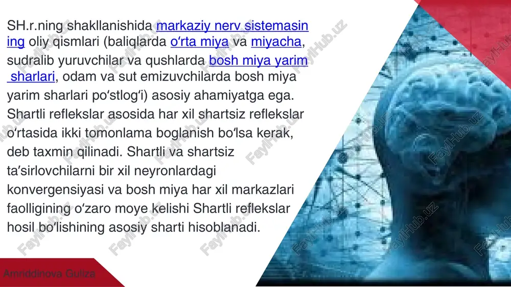 magan, sun'iy qo'zg'atuvchi hisoblanadi, masalan, qo'ng'iroq ovozi. chegaralarni aniqlash chegaralarni aniqlash: shartli reflekslarni o'rganishda qo'zg'atuvchilarning chegaralarini aniqlash muhim ahamiyatga ega. qo'zg'atuvchilarni o'zgartirish va ularga javob berishni taqqoslash orqali biz shartli reflekslarni rivojlantirishni va chegaralarini aniqlashni amalga oshiramiz. ta'sirchanlik: qo'zg'atuvchilarga bo'lgan javoblar qo'zg'atuvchi xususiyatlariga bog'liq. masalan, qo'ng'iroq ovozining kuchli yoki zaif shovqinli bo'lishi ham o'zgarishlarga olib kelishi mumkin. bevosita qo‘zg‘atuvchi (shartsiz): bu — biologik ahamiyatga ega, tabiiy qo‘zg‘atuvchi bo‘lib, u tug‘ma reflekslarni chaqiradi. ular nerv markazlari orqali to‘g‘ridan-to‘g‘ri ta’sir ko‘rsatadi. misollar: ovqat hidi yoki ta’mi → so‘lak ajralishi sovuq suv → qon tomirlarning torayishi yorug‘lik → qorachiqning torayishi bilvosita qo‘zg‘atuvchi (shartli): bu — dastlab biologik ahamiyatga ega bo‘lmagan, lekin bevosita qo‘zg‘atuvchi bilan bir necha marta birgalikda ta’sir ettirilganda, shartli refleks hosil qiluvchi ta’sirdir. misollar: qo‘ng‘iroq ovozi (ovqat berishdan oldin) yorug‘lik signali (ovqatlanish bilan birgalikda) tovush, musiqiy signal, chiroq va hokazolar ichki shartli, ya'ni so nuvchi tormozlanish. shartli reflekslar shartsiz reflekslar asosida …