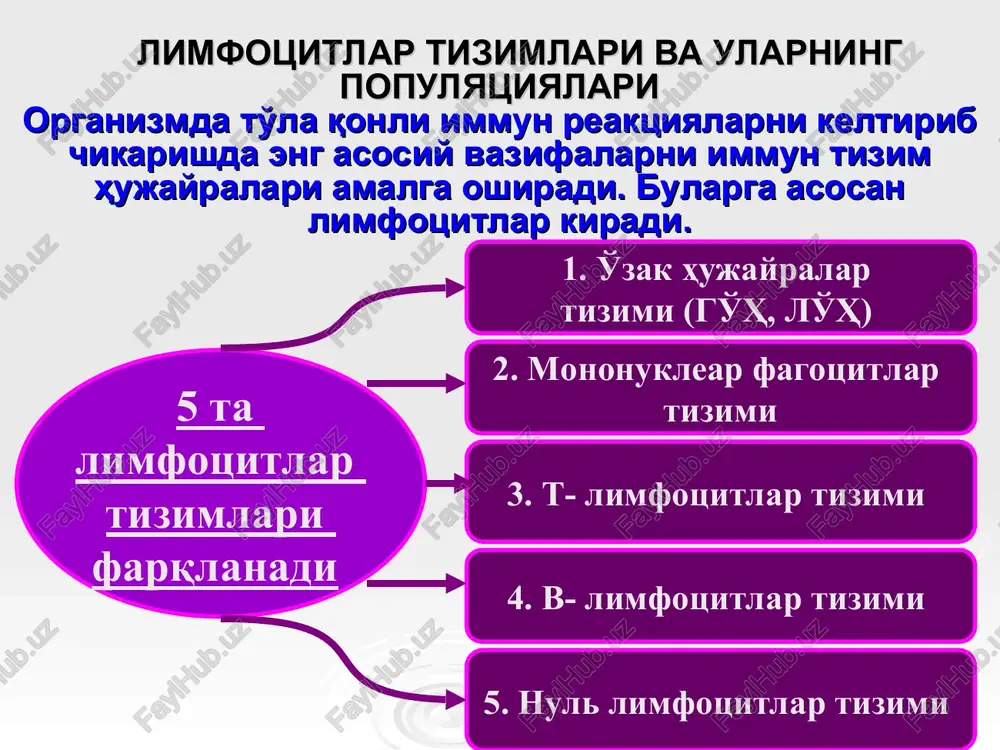 igenlari (cd 4 va cd 8) yaqqol ko'zga ko'rinadi. yuqorida keltirilgan hujayralar organizmda antigen ta'sirida faollashib, differentsiatsiya va proliferatsiyaga uchraydi hamda har biri o'z vazifasini bajaradi i m m u n i t e t t u r l a r i 1. maxsus bo'lmagan rezistentlik omillari - filogenetik qadimiy, nasldan-naslga o'tuvchi. patogen agentlar bilan birinchi bo'lib uchrashadi 2. tabiiy immunitet - organizmda patogen agentlar bilan uchrashuv natijasida hosil bo'ladi - tug'ma immunitet - bir biologik turning ma'lum bir patogen agentlarga nisbatan chidamliligi bo'lib, nasldan-naslga o'tadi - orttirilgan immunitet - hayot davomida organizm immun tizimining yot antigenlar bilan ta'sirlashuvi hisobiga yuzaga keladi yuza markyorlar maxsusligi bo'yicha t- limfotsitlar subpopulyatsiyalarga bo'linadi. periferik qonda va to'qimalarda asosan cd 3, cd 4, cd 8, cd 16 markyorlar uchraydi. bundan tashqari t- limfotsitlar membranasida boshqa retseptorlar xam uchraydi: qo'y eritrotsitlariga karshi, igm, igg ning fc fragmentiga qarshi va hokazo. tabiiy sharoitda, ya'ni organizmga antigen …