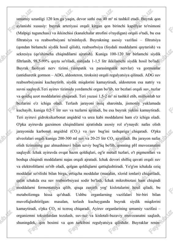 i ajratadi, bu esa buyrak yukini kamaytiradi. teri ayiruvi gidroksikarbonat angidrid va urea kabi moddalarni ham o'z ichiga oladi. o'pka ayiruvda gazsimon chiqindilarni ajratishda asosiy rol o'ynaydi: nafas olish jarayonida karbonat angidrid (co₂) va suv bug'ini tashqariga chiqaradi. o'pka alveolalari orqali kuniga 200-300 ml suv va 20-25 litr co₂ ajratiladi. bu jarayon nafas olish tizimining gaz almashinuvi bilan uzviy bog'liq bo'lib, qonning ph muvozanatini saqlaydi. ichak ayiruvda ovqat hazm qoldiqlari, og'ir metall tuzlari, o't pigmentlari va boshqa chiqindi moddalarni najas orqali ajratadi. ichak devori shilliq qavati orqali suv va elektrolitlarni so'rib oladi, qolgan qoldiqlarni qattiqlashtiradi. yo'g'on ichakda oziq moddalar so'rilishi bilan birga, ortiqcha moddalar (masalan, xlorid ionlari) chiqariladi, qalin ichakda esa suv reabsorbsiyasi sodir bo'ladi. ichak mikrobiotasi ham chiqindi moddalarni fermentatsiya qilib, qisqa zanjirli yog' kislotalarini hosil qiladi, bu metabolizmga hissa qo'shadi. ushbu organlarning vazifalari bir-biri bilan muvofiqlashtirilgan: masalan, terlash kuchayganda buyrak siydik miqdorini kamaytiradi, o'pka co₂ ni tezroq chiqaradi. …