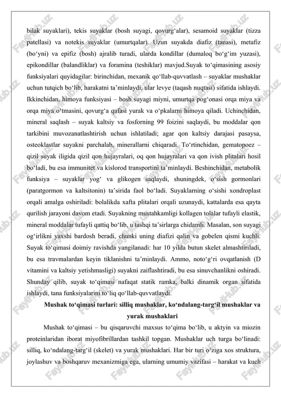 suyak iligida qizil qon hujayralari, oq qon hujayralari va qon ivish plitalari hosil bo‘ladi, bu esa immunitet va kislorod transportini ta’minlaydi. beshinchidan, metabolik funksiya – suyaklar yog‘ va glikogen saqlaydi, shuningdek, o‘sish gormonlari (paratgormon va kaltsitonin) ta’sirida faol bo‘ladi. suyaklarning o‘sishi xondroplast orqali amalga oshiriladi: bolalikda xafta plitalari orqali uzunaydi, kattalarda esa qayta qurilish jarayoni davom etadi. suyakning mustahkamligi kollagen tolalar tufayli elastik, mineral moddalar tufayli qattiq bo‘lib, u tashqi ta’sirlarga chidamli. masalan, son suyagi og‘irlikni yaxshi bardosh beradi, chunki uning diafizi qalin va gobelen qismi kuchli. suyak to‘qimasi doimiy ravishda yangilanadi: har 10 yilda butun skelet almashtiriladi, bu esa travmalardan keyin tiklanishni ta’minlaydi. ammo, noto‘g‘ri ovqatlanish (d vitamini va kaltsiy yetishmasligi) suyakni zaiflashtiradi, bu esa sinuvchanlikni oshiradi. shunday qilib, suyak to‘qimasi nafaqat statik ramka, balki dinamik organ sifatida ishlaydi, tana funksiyalarini to‘liq qo‘llab-quvvatlaydi. mushak to‘qimasi turlari: silliq mushaklar, ko‘ndalang-targ‘il mushaklar va yurak mushaklari mushak to‘qimasi – bu qisqaruvchi maxsus …