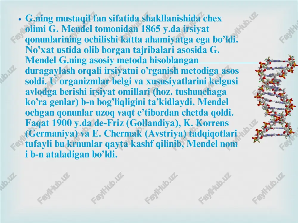 etgan qonuniyat g.ning toʻrtinchi fundamental qonuni hisoblanadi. biroq birikkan holda irsiylanish mutlaq boʻlmasdan, bir qancha hollarda avlodda ota-ona belgilariga nisbatan ajralish roʻy beradi. bu hodisa gomologik xromosomalarning chalkashuvi (krossingover), yaʼni ikkita xromosoma ayrim qismlarining oʻzaro oʻrin almashinishi natijasida sodir boʻladi. bu sohadagi i. t.lar tufayli xromosomalarda genlarning joylashish tartiblari aniqlandi, yaʼni xromosomalarning genetik haritalari tuzildi. xromosomalarning genetik haritalari � diskret nasldorlik va mendel qonunlari punnett kvadratida ikki no’xat o’simligining pushti (b) va oq (b) g’unchalari geterozigotik bog’langanligi ko’rsatilgan. � organizmlardagi nasldorlikning fundamental birligi «gen» deb ataluvchi diskret vositalardir. bu fundamentallikni ilk bor gregor mendel kuzatdi; u no’xat o’simligidagi nasldorlikni o’rganayotgan edi. u o’z tajribalarida no’xat gullari doimo yo pushti, yoki oq bo’lishini, va hech qachon aralash rangli bo’lmasligini aniqladi. genning ushbu farqli shakllari «allellar» deb ataladi. no’xat gullari bilan bog’liq vaziyatda har bir organizm har bir gendan ikkitadan allelga ega va bir o’simlikka bir ajdoddan bitta allel o’tgan. aksar organizmlar, …