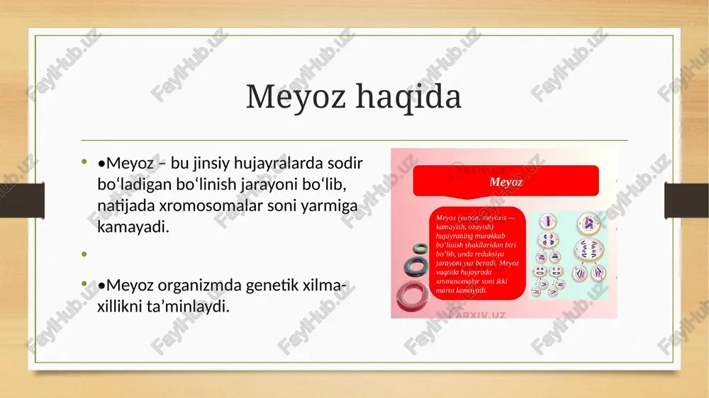 mitozvameyoz - Page 4