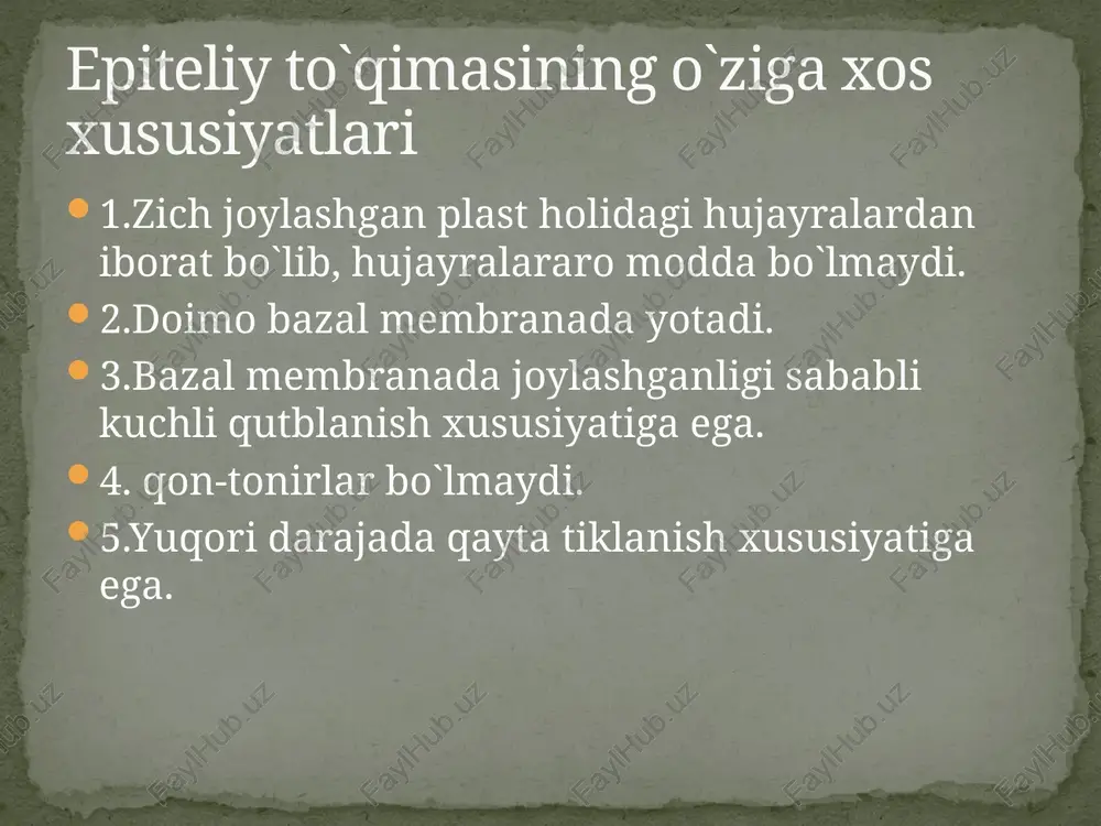epiteliy to`qimasi - Page 4