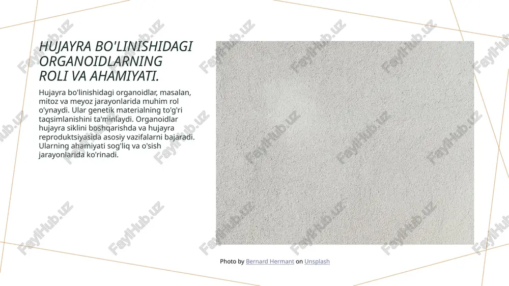 kkala jarayonda ham fermentlar, atp, va boshqa metabolik o'zgarishlar faol ishtirok etadi, bu esa hujayra bo'linishining energiya va resurslar bilan ta'minlanishini ta'minlaydi. mitoz va meyoz jarayonlarining biologik ahamiyati. mitoz va meyoz jarayonlari hujayralarning o'sishi va ko'payishida muhim rol o'ynaydi. mitoz hujayralar sonini ko'paytirsa, meyoz genetik xilma-xillikni ta'minlaydi. ushbu jarayonlar organizmning rivojlanishi va genetik materialning uzatilishida asosiy ahamiyatga ega. - mitoz: hujayra ko'payishi. - meyoz: reproduktiv hujayralar ishlab chiqaradi. - hujayralar o'rtasida genetik material almashinuvi. hujayra boʻlinishi: mitoz va meyozning kasalliklar bilan aloqasi. 1 mitoz va kasalliklar mitoz jarayoni to'g'ri amalga oshmasa, tumorlarga olib kelishi mumkin. bu, hujayra nazoratining buzilishi natijasida yuzaga keladi. 2 meyoz va genetik kasallik meyoz jarayonidagi xato genetik kasalliklar, masalan, daun sindromi kabi holatlarga sabab bo'lishi mumkin, bu esa xromosomalar sonining o'zgarishi bilan bog'liq. 3 hujayra tsikli va onkologiya hujayra tsiklining buzilishi onkologik kasalliklarning rivojlanishiga olib keladi. mitoz va meyoz jarayonlari bu jarayonda muhim rol o'ynaydi. 4 …
