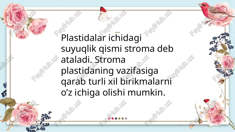 plastidalarning turlari va ularning vazifalari - Page 4