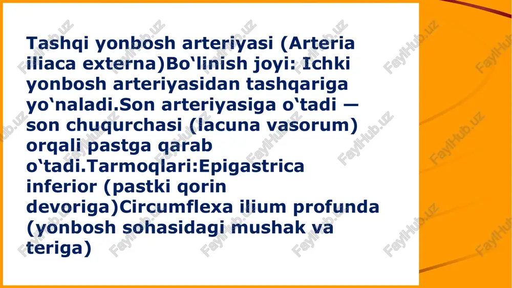 umumiy, ichkii va tashqi yonbosh arteriyalari - Page 4