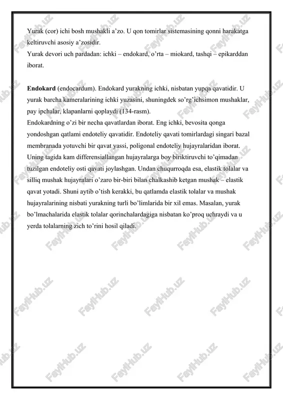 dokard va miokard chegarasida joylashgan tashqi – biriktiruvchi to’qimali qavat yotadi. bu qatlam yo’g’on elastik tolalar hamda uzun egri-bugri bo’lib joylashgan kollagen va retikulyar tolalardan iborat. tashqi biriktiruvchi to’qimali qavatda qon tomirlar ko’plab uchraydi. endokard yurak klapanlari shakllanishida ishtirok etadi. klapanlar bo’lmachalar bilan qorinchalar o’rtasida, qorinchalar bilan aorta hamda o’pka arteriyasi o’rtasida joylashgan. yurak klapanlari zich tolali biriktiruvchi to’qimadan tuzilgan yupqa plastinkalardan iborat bo’lib, ikkala yuzasi endoteliy hujayralari bilan qoplangan. miokard (myocardum). miokard yurakning eng kuchli taraqqiy etgan va eng muhim qavatidir. miokard ko’ndalang-targ’il mushak to’qimasidan tuzilgan bo’lib, unda tipik va atipik mushak tolalari farq qilinadi. tipik mushak tolalari qisqarish vazifasini, atipik tolalar esa qo’zg’alishni o’tkazish vazifasini bajaradi. tipik mushak tolalari ayrim qisqaruvchi mushak hujayralari – kardiomiotsitlardan tuzilgan. kardiomiotsitlar (cardiomyocyti) bir qator struktur va sitoximik xususiyatlari bilan atipik mushak hujayralari va skeletning ko’ndalang-targ’il mushak tolalaridan farq qiladi. bu hujayralar ketma-ket joylashib mushak tolasini hosil qiladi (135-rasm). yurakning tipik mushak tolalari …