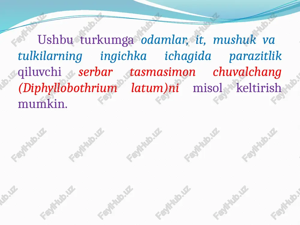 li o‘rtasida milliy taom mol go‘shti qiymasidan tayyorlangan «ijjan»ning (piyoz va garmdori qo‘shilgan xom qiyma mol go‘shtining) keng iste’mol qilinishidir. cho‘chqa tasmasimon chuvalchangi (taenia solium). qoramol tasmasimoni kabi odamlarning ingichka ichagida parazitlik qiladi. uzunligi 1,5-3 m, ba’zan esa 5 m gacha borib, boshcha, ya’ni skoleks, bo‘yin va 900 tagacha bo‘g‘imlari boshchasida 4 ta so‘rg‘ichi va xartumida ikki qator har xil katta-kichiklikdagi xitinli ilmoqchalari (22-32 tadan) joylashgan, proglottidalarining har birida yuzlab urug‘donlar va uch bo‘lakli bitta tuxumdon bo‘ladi. cho‘chqa tasmasimoni lichinkasi ham xuddi qoramol tasmasimoni lichinkasi kabi sistitserk deyiladi. bu lichinka har xil to‘qima va organlarda maxsus po‘stga o‘ralib parazitlik qiladi. sistiserk no‘xat kattaligidagi pufakcha bo‘lib, ichi tiniq suyuqlik bilan to‘lgan bo‘ladi, uning uchida 4 ta so‘rg‘ichi va xartumi, ilmoqchalar bilan qurollangan skoleksi joylashgan. cho‘chqa tasmasimonining asosiy xo‘jayini odam hisoblanadi. odamning ingichka ichagida voyaga yetgan tasmasimon chuvalchang parazitlik qiladi. cho‘chqa, it, mushuk, tuya va quyonlar bu chuvalchangning oraliq xo‘jayinlari hisoblanadi. cho‘chqa …