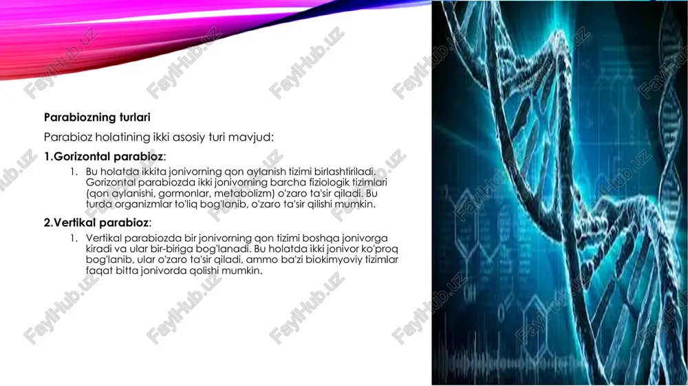 nadi. kinesin energiya olish uchun atf (adenozintrifosfat)ni ishlatadi va mikrotubullarda harakatlanib, tashilayotgan moddalarni olib boradi. •dynein — bu motorli oqsil retrograd transportni boshqaradi va akson uchidan hujayra tanasiga qarab harakatlanadi. dyneinning ham ishlashi uchun atf kerak, lekin uning mexanizmi boshqacha va u mikrotubullar bo'ylab aksincha yo'nalishda harakatlanadi. 3. akson transportining funktsiyalari akson transporti bir nechta muhim funksiyalarni bajaradi: •neyrotransmitterlar tashish: akson transporti neyronlardan sinapslarga neyrotransmitterlarni olib boradi. bu moddalar neyronlar o'rtasidagi aloqa va signal uzatishni ta'minlaydi. •orqaga signal yuborish: akson transporti orqali neyron hujayra tanasiga orqaga signal yuboradi. bu jarayon hujayra tanasining holatini, organizmning bo'limlari orasidagi kommunikatsiyani va signal uzatishni boshqaradi. •aksonning tuzilishi va saqlanishi: akson transporti aksonning tuzilishi va strukturasini saqlashda muhim ahamiyatga ega. transport jarayonida zarur bo'lgan organellalar va proteinlar aksonga yuboriladi va uning barqarorligini ta'minlaydi. •organellalarni tashish: akson transporti yordamida aksonga zarur organellalar (masalan, mitoxondriyalar, lysozomalar, va boshqa zarur moddalarga ega organellalar) yetkaziladi. bu jarayon aksonning normal …