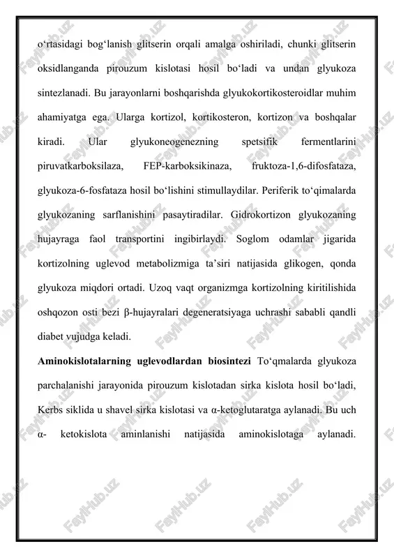 uchkarbon kislotalar siklining birinchi substratidir. bu siklda atsetil-koani oksidlanishi uchun oksaloatsetat zarurdir, u krebs siklini ikkinchi kalit substratidir. oksaloatsetat pirouzum kislotasi va karbonatangidriddan sintezlanishi yoki transaminlanish jarayonida asparagin kislotasidan hosil bo‘lishi mumkin. ikki molekula atsetil-koa kondensatsiyalanib, atsetosirka kislota (atsetoatsetat) hosil bo‘ladi, u esa boshqa keton tanachalarini, xususan β-oksimoy kislotasi va atsetonning manbai bo‘lib hisoblanadi. atsetosirka va β-oksimoy kislota faol sirka kislotaning transport shakli sifatida ko‘pincha ko‘riladi, ularni periferik to‘qimalarga, krebs siklida oksidlash uchun olib boriladi. ikki molekula atsetil-koani kondensatsiya reaksiyasi xolesterin sintezining boshlangich etapini tashkil etib, β-oksimoy kislotasi (β-oksibutirat) va atseton hosil bo‘ladi. atsetosirka va β-oksimoy kislotasi ko‘pincha faol sirka kislotaning transport shakli hisoblanib, uni periferik to‘qimalarda krebs siklida oksidlanish uchun transport qiladi. ikki molekula atsetil-koani kondensatsiya reaksiyasi xolesterin sintezining birlamchi bosqichini tashkil etadi. xolesterin, oz‘ navbatida, steroid gormonlar, d3 vitaminni, shuningdek ot kislotalarning o‘tmishdoshi hisoblanadi. o‘t kislotalari juft o‘t kislotalari shaklida ovqat tarkibidagi lipidlarning hazmlanishida emulgator vazifasini o‘ynaydi va …