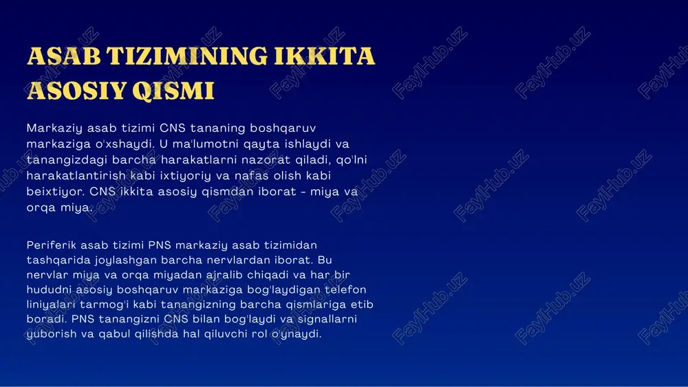 asab tizimlari - Page 4