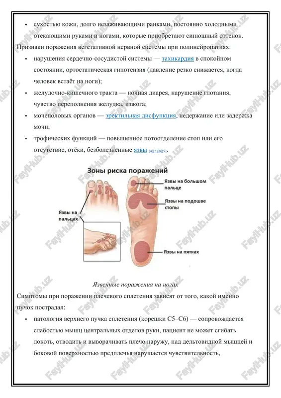 rin — klyumpke); · patologiya poyasnichno-kresttsovogo spleteniya — xarakterizuetsya slabostyu mishts taza i nog, iz-za boley v poyasnitse, yagoditse i tazobedrennom sustave snijaetsya chuvstvitelnost nogi, eyo refleksi stanovyatsya bolee slabimi, takje vozmojno razvitie tazovix narusheniy, no tolko pri dvustoronnem porajenii kresttsovogo spleteniya; · patologiya nervnix koreshkov (radikulopatiya) — kak pravilo, soprovojdaetsya snijeniem chuvstvitelnosti, prostrelivayushey ili jguchey bolyu v spine, kotoraya usilivaetsya pri natujivanii i kashle, inogda vistupaet kak oslojnenie vaskulita ili saxarnogo diabeta. plechevoe spletenie patogenez perifericheskoy neyropatii perifericheskaya nervnaya sistema vklyuchaet v sebya spinnomozgovie koreshki, perifericheskie, cherepnie i spinnomozgovie nervi, iz kotorix gruppiruyutsya spinnomozgovie spleteniya. perifericheskie nervi svyazivayut tsentralnuyu nervnuyu sistemu so vsemi organami i tkanyami organizma. oni peredayut nervnie impulsi i perenosyat makromolekuli iz tsentralnoy nervnoy sistemi. nervniy stvol formiruetsya iz sovokupnosti nervnix volokon, pokritix obolochkami, kotorie izoliruyut odin puchok ot drugogo. eti obolochki obrazovani iz setey melkix sosudov (vasa nervorum), kotorie pitayut nervnoe volokno i zashishayut ot …