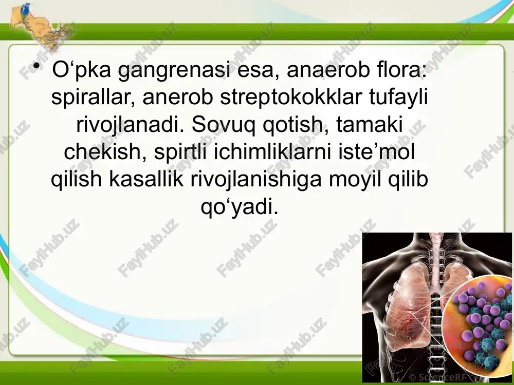 o'pka kasalliklari patologiyasi - Page 4