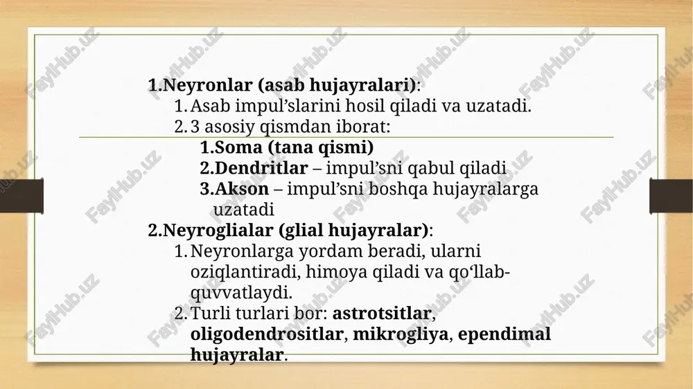 nerv to’qimasining taraqqiyoti - Page 4