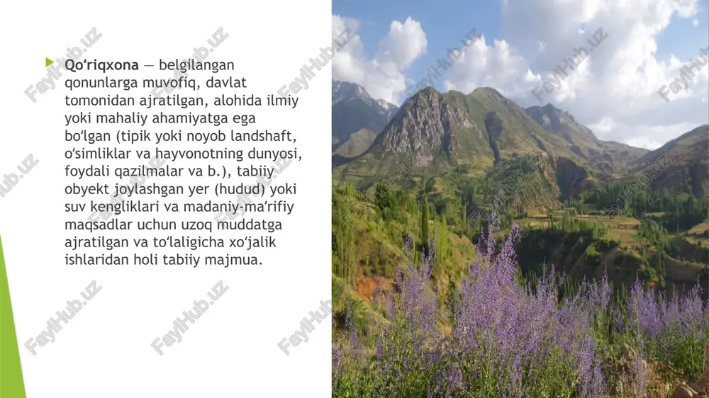 o’rta osiyo qo’riqxonalari - Page 4