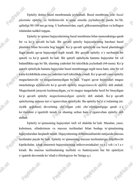 u. i. afanasyevdan, 1989). epiteliy to`qimasi hujayralarining sitoplazmasida xususiy organella tonofibrillalar uchraydi. hujayralarning yon yuzasida desmosomalar («hujayra yuzasining maxsus tuzilmalari» ga q.) va ularning birlashtiruvchi plastinkasiga tegib yotuvchi tonofibrillalar joylashadi. epiteliy hujayralarining tuzilishi epiteliy hujayralarining sitoplazmasida shakli va qaysi organda joylashganligidan. qat’i nazar umumiy va maxsus organellalar bo`ladi. hujayra yadrosining shakli hujayraning shakliga bog`liq bo`lib, ko`pincha, dumaloq, oval va yassi bo`ladi. mitoxondriylar kalta tayoqcha shaklida bo`lib hujayra yadrosi atrofida joylashadi. oqsil sintezida ishtirok etadigan hujayralarda donador endoplazmatik to`r yaxshi rivojlangan bo`lib, ko`pincha hujayraning bazal qismida va yadro atrofida joylashadi. sekretsiya jarayonida qatnashadigan hujayralarda golji kompleksi kuchli rivojlangan bo`lib, hujayra yadrosining ustida yotadi. epiteliy hujayralari bazal membranada joilashganligi sababli, ularda ikkita qutb tafovut qilinadi; b a z a l va a p i k a l q u t b l a r. bu ikkala qutblar tuzilishi jihatidan bir-biridan farq qiladi («hujayra yuzasining maxsus tuzilmalari» ga q.). apikal qismi turli maxsus …