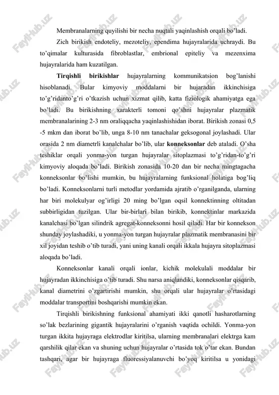 lar bir-birlari bilan birikib, konnektinlar markazida kanalchasi bo’lgan silindrik agregat-konneksonni hosil qiladi. har bir konnekson shunday joylashadiki, u yonma-yon turgan hujayralar plazmatik membranasini bir xil joyidan teshib o’tib turadi, yani uning kanali orqali ikkala hujayra sitoplazmasi aloqada bo’ladi. konneksonlar kanali orqali ionlar, kichik molekulali moddalar bir hujayradan ikkinchisiga o’tib turadi. shu narsa aniqlandiki, konneksonlar qisqarib, kanal diametrini o’zgartirishi mumkin, shu orqali ular hujayralar o’rtasidagi moddalar transportini boshqarishi mumkin ekan. tirqishli birikishning funksional ahamiyati ikki qanotli hasharotlarning so’lak bezlarining gigantik hujayralarini o’rganish vaqtida ochildi. yonma-yon turgan ikkita hujayraga elektrodlar kiritilsa, ularning membranalari elektrga kam qarshilik qilar ekan va shuning uchun hujayralar o’rtasida tok o’tar ekan. bundan tashqari, agar bir hujayraga fluoressiyalanuvchi bo’yoq kiritilsa u yonidagi hujayraga ham tezda tarqaladi. sutemizuvchilarning to’qimalari kulturasida turli bo’yoqlarni qo’llash yoriqsimon birikish orqali molekulyar og’irligi 1000 ga va kattaligi 2 nm dan ortmagan moddalarning o’tishi isbotlandi. ular orasida turli ionlar, aminokislotalar, nukleotidlar, qandlar, vitaminlar, steroidlar, gormonlar …