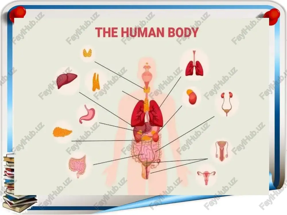 human system - Page 4