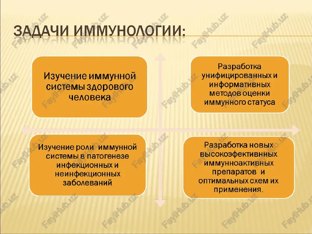 tnoe sredstvo protiv odnogo mikroorganizma, oni neytralizuyut i razrushayut tolko ego, ostavayas bezrazlichnimi k drugim. pitayas ponyat eto yavlenie spetsifichnosti, erlix vidvinul teoriyu "bokovix tsepey", po kotoroy antitela v vide retseptorov predsushestvuyut na poverxnosti kletok. pri etom antigen mikroorganizmov vistupaet v kachestve selektivnogo faktora. vstupiv v kontakt so spetsificheskim retseptorom, on obespechivaet usilennuyu produktsiyu i vixod v tsirkulyatsiyu tolko etogo konkretnogo retseptora (antitela). prozorlivost erlixa porajaet, poskolku s nekotorimi izmeneniyami eta v tselom umozritelnaya teoriya podtverdilas v nastoyashee vremya. dve teorii - kletochnaya (fagotsitarnaya) i gumoralnaya - v period svoego vozniknoveniya stoyali na antagonisticheskix pozitsiyax. shkoli mechnikova i erlixa borolis za nauchnuyu istinu, ne podozrevaya, chto kajdiy udar i kajdoe ego parirovanie sblijalo protivnikov. v 1908g. oboim uchenim odnovremenno bila prisujdena nobelevskaya premiya. paul erlix. portret na banknote v 200 marok 1996 g. imenno on v znachitelnoy stepeni opredelil litso sovremennoy immunologii. rassmatrivaya immunitet kak reaktsiyu, napravlennuyu na differentsiatsiyu vsego …