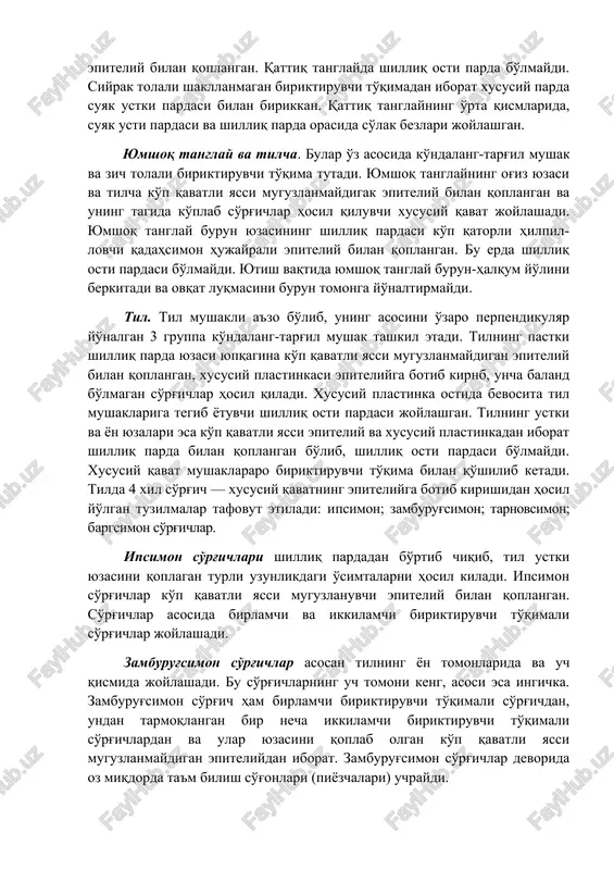 unj muskullaridan hosil bo'lib, u erda lunj so'lak bezlari yogadi. ularnnng oxirgi sekretor bo'limi aralash sekret ishlab chiqaradi. bundan tashqari, alohida shilliq ishlab chiqaruvchi oxirgi bo'limlari ham bo'ladi. lunjning mandibula qismi maksilla qismi kabi ko'p qavatli yassi muguzlanmaydigan epiteliy bilan qoplangan. xususiy plastinka so'rg'ichlari baland bo'lmay, uning shillik osti pardasi yakshi rivojlangan. bu qavatda ko'plab lunj so'lak bezlari joylashadi. qattiq tanglay. qattiq tanglay tanglay suyagi va uni qoplagan pardadan iborat bo'lib, shilliq parda ko'p qavatli yassi muguzlanmaydigan epiteliy bilan qoplangan. qattiq tanglayda shilliq osti parda bo'lmaydi. siyrak tolali shakllanmagan biriktiruvchi to'qimadan iborat xususiy parda suyak ustki pardasi bilan birikkan. qattiq tanglayning o'rta qismlarida, suyak usti pardasi va shilliq parda orasida so'lak bezlari joylashgan. yumshoq tanglay va tilcha. bular o'z asosida ko'ndalang-targ'il mushak va zich tolali biriktiruvchi to'qima tutadi. yumshoq tanglayning og'iz yuzasi va tilcha ko'p qavatli yassi muguzlanmaydigak epiteliy bilan qoplangan va uning tagida ko'plab so'rg'ichlar hosil qiluvchi xususiy qavat …