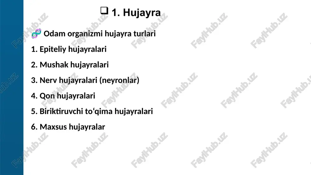 ): limfotsitlar – immun javob (b-, t-limfotsitlar). monotsitlar – to‘qimalarda makrofaglarga aylanadi. 3.trombotsitlar (qon plastinkalari) mayda, yadrodan mahrum bo‘lgan hujayra bo‘lakchalari. asosiy vazifasi: qonni ivitish, qon ketishini to‘xtatish. suyak ko‘migida megakaryotsitlardan hosil bo‘ladi. 1 mm³ qonda 180–320 ming. 7–10 kun yashaydi. biriktiruvchi to‘qima hujayralari biriktiruvchi to‘qima organizmning tayanch-harakat, trofik, himoya va tiklanish jarayonlarida muhim rol o‘ynaydi. ularning hujayralari turli shakl va vazifaga ega. 🔹 asosiy hujayralar 1. fibroblastlar eng ko‘p uchraydigan hujayralar. shakli: cho‘zilgan, yadro cho‘zinchoq. vazifasi: kollagen, elastik va retikulyar tolalar sintez qiladi; shuningdek, yara bitishida muhim. 2. fibrositlar fibroblastlarning sust holati. kam faol, tolalarni saqlab turadi. 3. makrofaglar monotsitlardan hosil bo‘ladi. fagotsitoz (mikroblar va zarrachalarni yutish) qiladi. immun javobda ishtirok etadi. 4. plazmotsitlar (plazma hujayralar) limfotsitlardan hosil bo‘ladi. antitanachalar (immunoglobulinlar) ishlab chiqaradi. 5. tukli (labrotsit, mast hujayralar) sitoplazmasida ko‘p granulalar bo‘ladi. gistamin, geporin, serotonin ajratadi → allergiya va yallig‘lanishda muhim. 6. lipotsitlar (yog‘ hujayralari) yog‘ to‘playdi, energiya zaxirasi. …