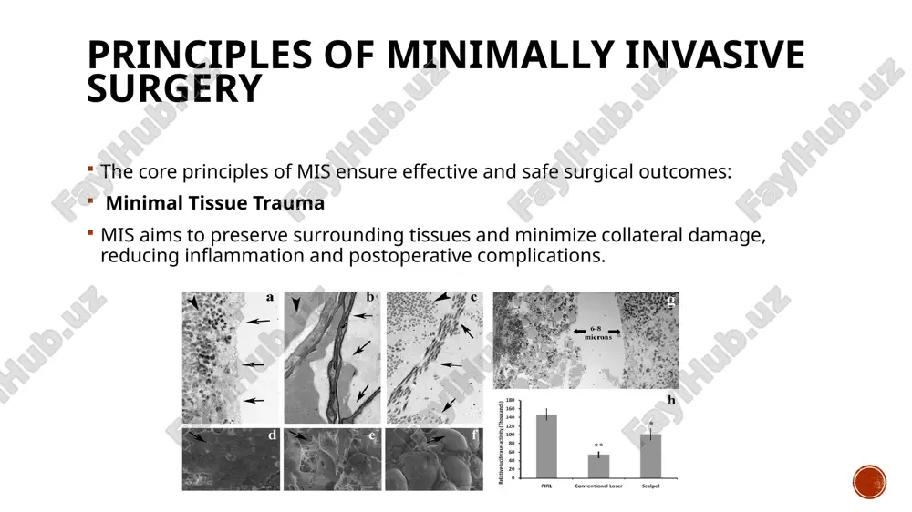 ent needs and strategies. gastrointestinal endoscopy clinics, 18(2), 337-346. rattner, d., & kalloo, a. (2006). asge/sages working group on notes. surgical endoscopy, 20(2), 329-333. kavic, s. m. (2008). single-incision laparoscopic surgery: a review. surgical endoscopy, 22(5), 1131-1135. thank you image4.png image3.png image5.jpeg image6.jpeg image7.jpeg image8.png image9.png image10.jpeg image11.jpeg image12.jpeg image13.jpeg image14.jpeg image15.jpeg image16.jpeg image17.jpeg image18.jpeg image2.png i i é i : 3 fi 280 160 140 20 100 0 0 0 20 ° irl conventional laser scalpel red blood cells red blood cells red blood cells thrombtic stroke embolic stroke hemorrhagic stroke (a) patient reported cosmetic outcome (good/excellent) % of patients loos: 90% 80% 0% 6 months © 12 months © 24 months © 36 months © 60 months (b) physician reported cosmetic outcome (good/excellent) % of patients 100% ’ 1% © 108 7096 0% e. wa fss lss 6 months © 12 months © 24 momhs © 36 months …