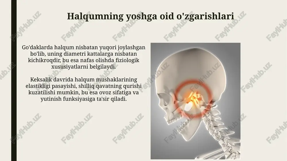 tovushning chastota xususiyatlarini shakllantirib, uning tembrini o'zgartiradi. fatsiya bosqichi tovush paychalarining tebranishini o'z ichiga oladi, bunda subglottik bosim ularni ochib, yopib, soniyada yuzlab marta takrorlanadigan tsikl hosil qiladi. burun bo'shlig'ining innervatsiyasi burun bo'shlig'ining asosiy sezgir innervatsiyasi trigeminal nervning v1 shoxi, oftalmik nervning bir qismi bo'lgan oldingi va orqa etmoid nervlar orqali amalga oshiriladi. vomer-burun nervi burun septumining pastki qismiga va burun bo'shlig'ining oldingi qismidagi ta'm sezgilarini ta'minlaydi, bu esa 10-20% odamlarda mavjud bo'lishi mumkin. halqumning tog'aylari: asosiy tog'aylar va ularning roli uzuksmon tog'ay - halqumning tagida joylashgan uzuk shaklidagi tog'ay bo'lib, traxeya bilan bog'lanishni ta'minlaydi. u halqum skeletining asosiy qismi sifatida nafas yo'llarini ochiq saqlashda muhim rol o'ynaydi. qopqoqsimon tog'aylar - juftlashgan kichik tog'aylar bo'lib, ovoz boylamlari va halqum mushaklari birikkan joy hisoblanadi. ular ovoz balandligini, tonini va tembrni nazorat qilishda muhim rol o'ynaydi. e'tiboringiz uchun rahmat @taqdimot_robot image2.jpg image3.jpg image4.jpg image5.jpg image6.jpg image7.jpg image8.jpg image9.jpg image10.jpg image11.jpg image12.jpg image13.jpg …