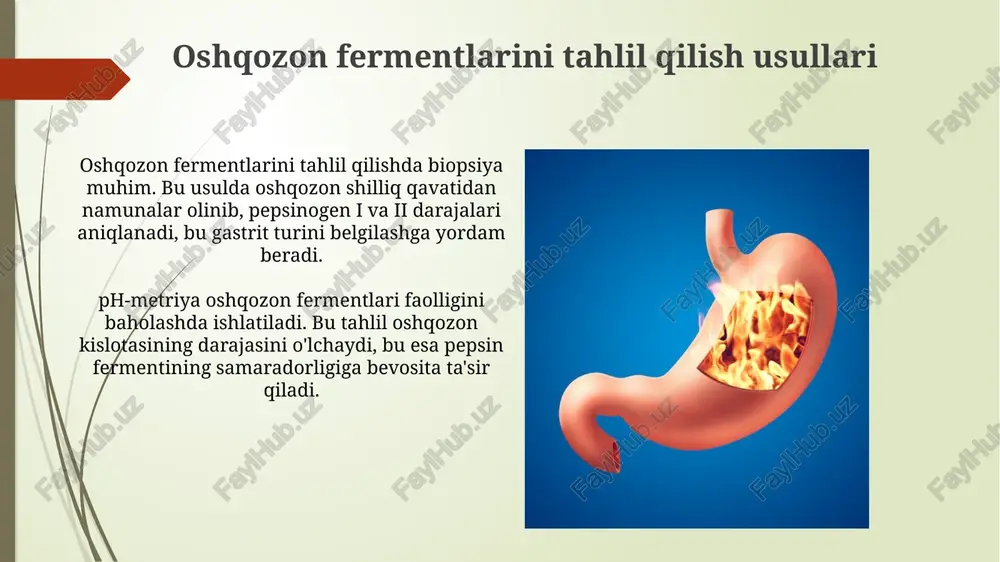 oshqozon meda fermentlari - Page 4