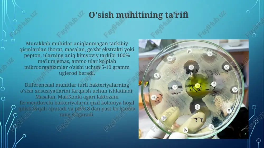 raktlari yoki xamirturush ekstraktlarini saqlaydi, bu esa 0,5% dan 2% gacha bo'lgan o'sish omillarini ta'minlaydi va mikroorganizmlar rivojlanishini tezlashtiradi. kirish kirish – bu mikrobiologiyada steril substrat, ya'ni unda 0 ta tirik organizm mavjud. kirish muayyan bakteriyalar o'sishi uchun sharoit yaratishda muhim rol o'ynaydi. kompleks kirishda ozuqaviy komponentlarning aniq kimyoviy formulasi ma'lum emas, masalan, go'sht ekstrakti. uning tarkibida ko'plab ozuqalar mavjud. o'sish muhitini sterilizatsiya qilish filtrlash sterilizatsiyasi issiqlikka sezgir o'sish muhitlari uchun ishlatiladi. 0,22 mkm teshikli filtrlar bakteriyalarni olib tashlaydi, ammo viruslar o'tishi mumkin, shuning uchun ehtiyot bo'lish kerak. quruq issiqlik sterilizatsiyasi 160-170°c da kamida 2 soat davomida o'tkaziladi, shisha idishlar va metall asboblarni sterilizatsiya qilish uchun mos keladi, lekin o'sish muhitlari uchun emas. differential o'sish muhiti differential muhitlar turli mikroorganizmlar o'sishi bilan birga, ularning metabolik farqlari tufayli vizual farqlarni namoyon etishga yordam beradi. masalan, qonli agar beta-gemolizni (to'liq lizis) aniqlaydi. ba'zi differensial muhitlar ph indikatorlarini o'z ichiga oladi, ular kislota …
