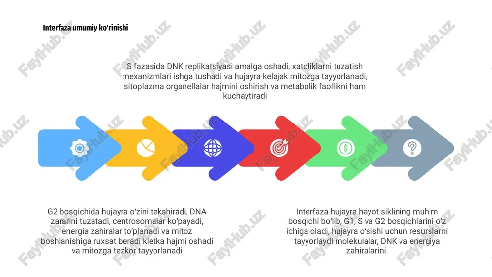 . 1 anafazada yuz beruvchi noto'g'ri taqsimlanish genetik disbalansga olib keladi, bu qarish, kasallik yoki saraton rivojlanishiga sabab bo'lishi mumkin; nazorat tizimlari muhim va hujayra siklini boshqaradi. telofaza va sitokinez telofaza bosqichida xromosomalar dekondense bo‘lib, yadroviy qobiq qayta hosil bo‘ladi, yadrachalar tiklanadi, sentrozomalar va mitotik iylak parchalanadi, xromosomalar hujayra kutublariga yopishadi va sitokinez orqali bo‘linish sitokinez jarayonida hayvon hujayralarda kontraktil halqa aktin va miozin yordamida qisqarib bo‘linishni tugatadi, o‘simliklarda golgi vesikalari hujayra plastinkasini hosil qiladi, so‘ngra yangi devor paydo bo‘ladi interfaza bosqichi mitozdan oldingi tayyorgarlik; dnk replikatsiyasi, organellalar ko‘payishi va hujayra hajmi oshishi sodir bo‘ladi, nazorat punktlari faollashadi tsiklin va cdk signallari siklni boshqaradi muhimdir mitotik apparat interfaza hujayra bo'linishga tayyorgarlik ko'radi: dnk nusxalanadi, organellalar ko'payadi, sentriyollar ajraladi, mikrotubulalar hosil bo'lib, mitotik apparat shakllanadi va hujayraning organizmi tomonidan nazorat qilinadi, dastlabki signal. mitozik apparat mikrotubulalardan iborat bo'lib, sentrozomlar markazida tashkil topadi; kinetokorlarga ulangan iplar xromatidalarni tortib, anafazada antiparallel harakat va …