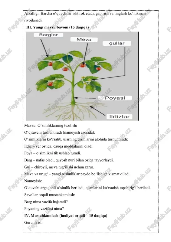 jonli tabiat burchagida oʻtkazladigan biron mavzuga bir soatlik dars ishlanma ishlash - Page 4