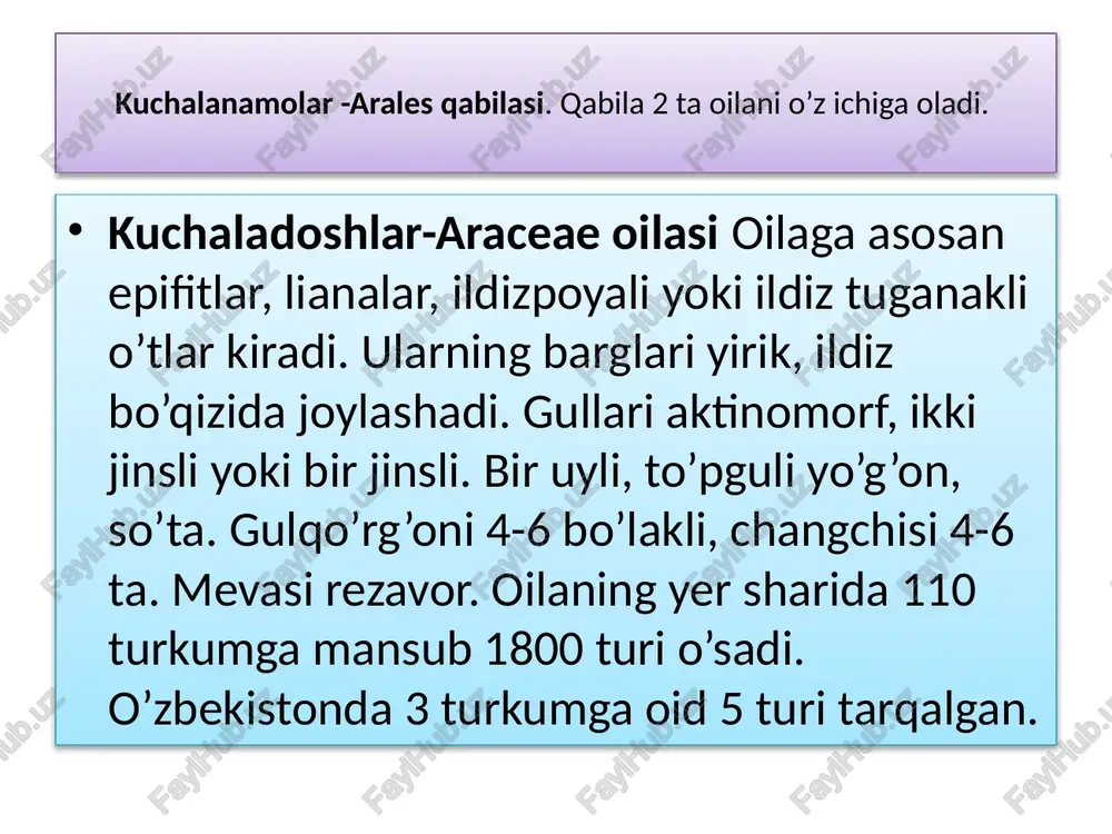 kuchalakabilar–aridaesinfchasi - Page 4