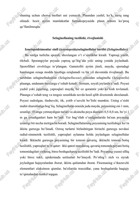 adi. voyaga yetgan anteridiy plaun to’qimasiga biroz botib kirgan bo’ladi. uning spermatozoidlari barcha murakkab tuzilishli o’simliklarda hosil bo’ladiganlaridan ham soddaroq tuzilishli bo’ladi. arxegoniyning ko’p qismi ham gametofitga botib kirgan holda joylashadi. urug’lanishdan hosil bo’lgan zigota tinim davrini o’tamay unadi. voyaga yetgan plaunning zaharli moddasi bo’ladi, shuning uchun chorva mollari uni yemaydi. plaundan yashil, ko’k, sariq rang olinadi. hozir ayrim mamlakatlar farmakopeyasida plaun tobora ko’proq qo’llanilmoqda. selaginellaning tuzilishi, rivojlanishi izoetopsidsimonlar sinfi (isoyotopsida)selaginellalar tartibi (selaginellales) bu sinfga turlicha sporali, shoxlangan o’t o’simliklar kiradi. yaproqi yaxlit, tilchali. sporangiylar poyada yaproq qo’ltig’ida yoki uning yonida joylashadi. sporofillari strobilaga to’plangan. gametofiti ayrim jinsli, mayda, sporadagi hamlangan ozuqa modda hisobiga oziqlanadi va bir yil davomida rivojlanadi. bu tartibdan selaginelladoshlar (selaginellaceae) oilasidan selaginella (selaginella) plaunga, undanam moxlarga o’xshab ketadi. sernam, soyali joylarda o’sadi. poyasi yashil yoki jigarrang, yaproqlari mayda, bir oz qoramtir yoki ko’kish tovlanadi. plaunga o’xshab teng va tengsiz uzunlikda novda hosil qilib dixotomik shoxlanadi. poyasi …