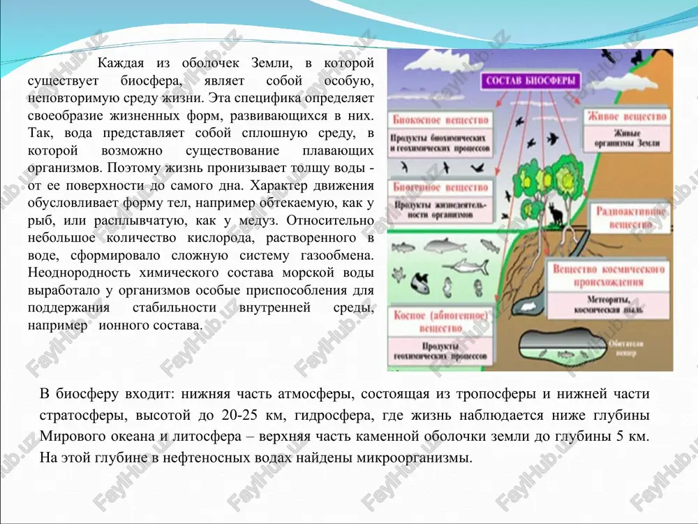 avu atmosfera zemli yavlyaetsya slojnoy smesyu razlichnix gazov, sostoyashix iz azota, kisloroda, argona, uglekislogo gaza, neona, geliya, metana, kriptona, vodoroda i dr. osnovnoy sostav atmosferi sostoit na 78,09% iz azota i na 20,95% iz kisloroda, na dolyu drugix gazov prixoditsya 1% ob'ema atmosferi. azot videlyaetsya iz zemnoy kori v rezultate deyatelnosti mikroorganizmov. gornie porodi soderjat ego v 50 raz bolshe, chem zemnaya atmosfera. kislorod v svobodnom sostoyanii yavlyaetsya produktom jiznedeyatelnosti rastitelnix organizmov. on yavlyaetsya sostavnoy chastyu vsex jivotnix i rastitelnix organizmov, vxodya v sostav belkov, jirov i uglevodov. kislorod ispolzuetsya vsemi komponentami ekosistem, obespechivaet dixanie jivotnix i rasteniy v atmosfere, pochve, vode, uchastvuet vo vsex ximicheskix reaktsiyax v gornix porodax, pochve i gidrosfere. 2. gidrosfera – vodnaya obolochka zemli, imeet ochen vajnoe znachenie dlya razvitiya biosferi. eto prerivistaya vodnaya obolochka, zanimayushaya bolee 70% poverxnosti zemli, raspolagayushayasya mejdu atmosferoy i tverdoy zemnoy koroy (litosferoy). gidrosfera predstavlyaet soboy sovokupnost vsex okeanov, morey …