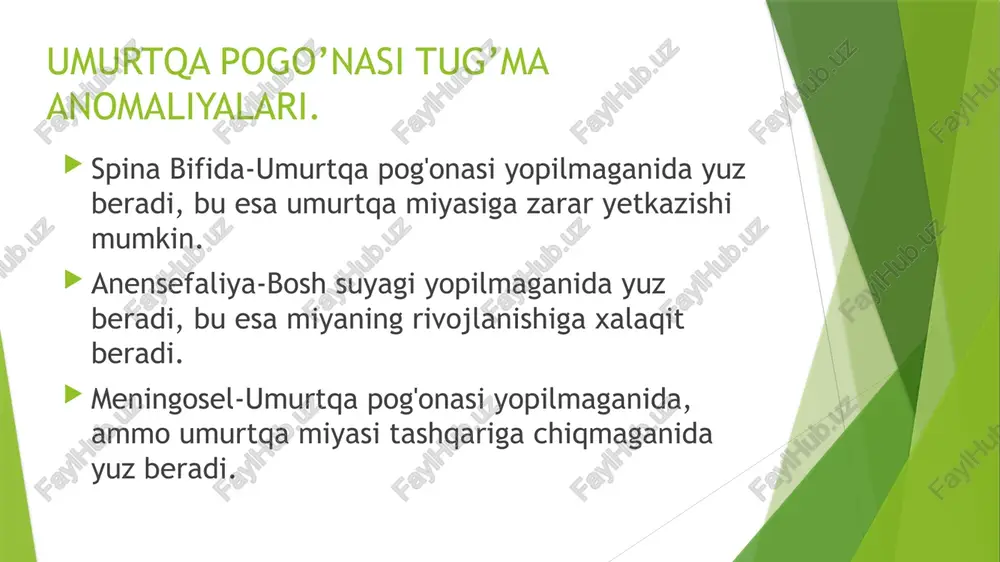 umurtqapog'onasituzilishivafunktsiyasi - Page 4