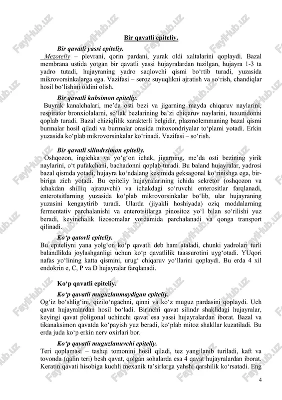 o‘p qavatli, ko‘p qatorli. enterodermal – bir qavatli kubsimon, silindrsimon va bezli. selonefrodermal – bir qavatli yassi, kubsimon, prizmatik. epekdimoglial – nerv nayidan, miya bo‘shliqlarini egallaydi. angiodermal – endoteliy, qon tomirlarini qoplaydi. morfologik tasnif: epiteliy 1. bir qavatli 2. ko‘p qavatli 1.1 bir qatorli 1.2. ko‘p qatorli 2.1.o‘zgaruvchan 2.3.muguzlanadigan yassi 2.2. muguzlanmaydigan kubsimon prizmatik prizmatik (silindrsimon) yassi kubsimon kipriksiz prizmatik jiyaksiz kiprikli jiyakli (hilpillovchi) bir qavatli epiteliy. bir qavatli yassi epiteliy. mezoteliy – plevrani, qorin pardani, yurak oldi xaltalarini qoplaydi. bazal membrana ustida yotgan bir qavatli yassi hujayralardan tuzilgan, hujayra 1-3 ta yadro tutadi, hujayraning yadro saqlovchi qismi bo‘rtib turadi, yuzasida mikrovorsinkalarga ega. vazifasi – seroz suyuqlikni ajratish va so‘rish, chandiqlar hosil bo‘lishini oldini olish. bir qavatli kubsimon epiteliy. buyrak kanalchalari, me’da osti bezi va jigarning mayda chiqaruv naylarini, respirator bronxiolalarni, so‘lak bezlarining ba’zi chiqaruv naylarini, tuxumdonni qoplab turadi. bazal chiziqlilik xarakterli belgidir, plazmolemmaning bazal qismi burmalar hosil qiladi va …