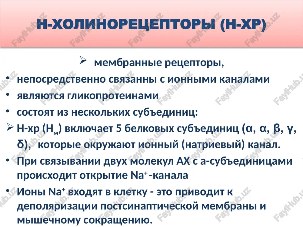 videlyaet nebolshie kolichestva nikotina. 19 ostroe otravlenie nikotinom soprovojdaetsya simptomami: gipersaliva­tsiya toshnota rvota diareya bradikardiya, a zatem taxikardiya ↑ arte­rialnogo davleniya, ugnetenie dixatelnogo tsentra vplot do ostanovki dixaniya tremor i sudorogi smert nastupaet ot paralicha dixatelnogo tsentra. pomosh: ivl, dezintoksikatsionnaya, protivosudorojnaya, simptomaticheskaya terapiya. 20 21 n – xolinomimetiki lobelin alkaloid rasteniya lobelia inflata yavlyaetsya tretichnim aminom tsitizin alkaloid iz rasteniy rakitnik (cytisus laburnum) i termopsis (thermopsis lanceolata), po strukture yavlyaetsya vtorichnim aminom po deystviyu sxoden s lobelinom, → no aktivnee pronikaet cherez geb → silnee vozbujdaet tsns. 22 n – xolinomimetiki lobelin tsitizin ↑ n-xr sinokarotidnix zon → reflektorno vozbujdayut dixatelniy i sosudodvigatelniy tsentri pokazaniya k primeneniyu: dlya borbi s nikotinovoy zavisimostyu ostanovka dixaniya → effektivni tolko pri soxranenii reflektornoy vozbudimosti tsentrov → ne primenyayut pri otravlenii sredstvami: → dlya narkoza → snotvornimi →narkoticheskimi analgetikami ― snijena reflektornoy vozbudimost tsentrov. 23 ganglioblokatori blokiruyut n-xr neyronov simpaticheskix i parasimpaticheskix gangliev narushayut …