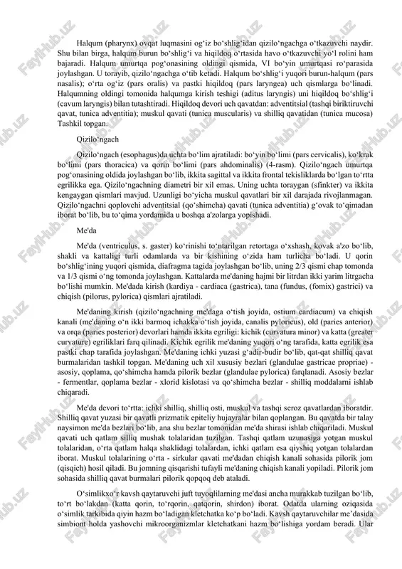 li parda (tunica adventitia) bilan qoplangan.ovqat hazm qilish yo‘li diametri turlicha bo‘lgan uzun kanal shaklidagi tuzilma bo‘lib, u qorin bo‘shlig‘ida joylashgan .asosiy sekretor a'zolar hazm kanalining tashqarisida joylashgan bo‘lib, bularga ovqat hazm qilish jarayonida og‘iz bo‘shlig‘iga ochiladigan uch juft so‘lak bezlari (quloq oldi, til osti va jag‘ osti), ingichka ichakning o‘n ikki barmoq ichak bo‘limiga ochiladigan jigar (o‘t yo‘li orqali) va me'da osti bezilari kiradi. ovqat hazm qilish tizimining umumiy tuzilishi. 1-og‘iz bo‘shlig‘i, 2-halqum; 3-qizilo‘ngach; 4-me'da; 5-o‘n ikki barmoq ichak; 6-och ichak; 7-yonbosh ichak; 8-ko‘richak; 9-ko‘richak o‘simtasi; 10-yuqoriga ko‘tariluvchi ichak; 11-ko‘ndalang ichak; 12-pastga tushuvchi ichak; 13-sigmasimon ichak; 14-to‘g‘ri ichak; 15-quloq oldi bezi; 16-jag‘ osti bezi; 17-til osti bezi; 18-jigar; 19-o‘t pufagi; 20-o‘t chiqaruvchi yo‘llar; 21-me'da osti bezi. hazm a’zolarining taraqqiyoti ovqat hazm qilish kanali pushtda birlamchi ichak nayi shaklida bo'lib, homilada u og‘iz bo'shlig'i, halqum, qizilo'ngach, me’da va ichaklarga bo'linadi. hazm tizimi homila hayotining 4-oyidan faoliyat ko'rsata boshlaydi. bu davrda …
